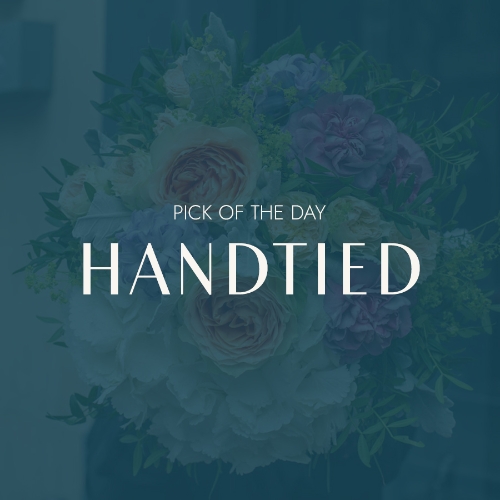 Pick Of The Day Handtied